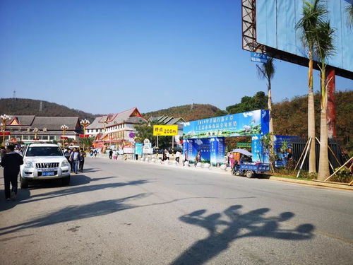 勐海县市场监督管理局强化2019年首届打洛口岸工艺品展销会及旅行社服务监管