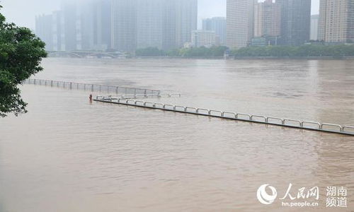 湘江水位攀升引关注 橘子洲步道被淹，景区管理采取紧急应对措施