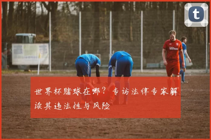 世界杯赌球在哪?专访法律专家解读其违法性与风险