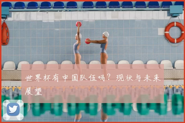 世界杯有中国队伍吗？现状与未来展望