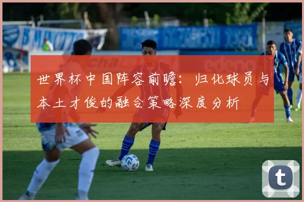 世界杯中国阵容前瞻：归化球员与本土才俊的融合策略深度分析