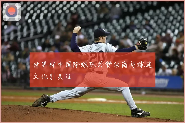 世界杯中国除球队外赞助商与球迷文化引关注