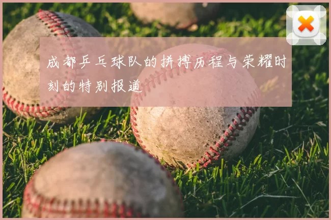 成都乒乓球队的拼搏历程与荣耀时刻的特别报道