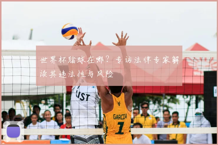 世界杯赌球在哪？专访法律专家解读其违法性与风险