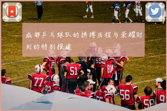 成都乒乓球队的拼搏历程与荣耀时刻的特别报道