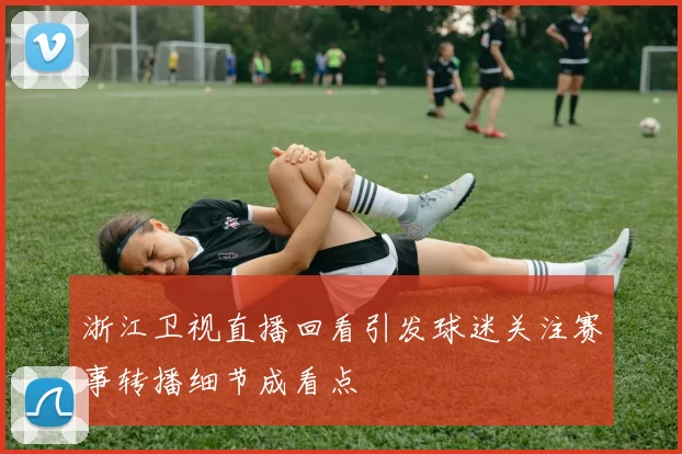 浙江卫视直播回看引发球迷关注赛事转播细节成看点