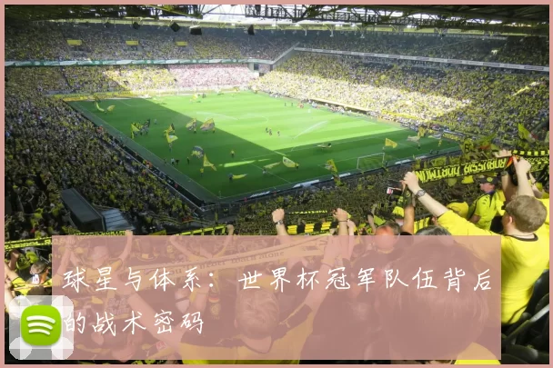 球星与体系：世界杯冠军队伍背后的战术密码