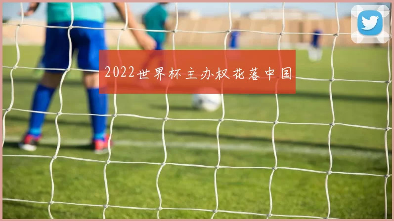 2022世界杯主办权花落中国