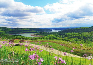 探索旅游景区建设管理新路径 创新旅行社服务网点与旅游招徕模式
