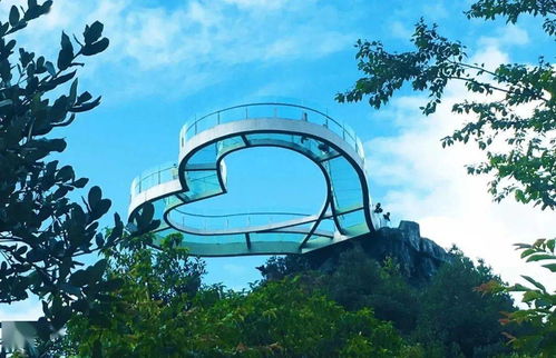 端午假期百里杜鹃游览须知及攻略 旅行社服务网点旅游招徕指南